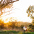 HeartCake_1074 thumbnail